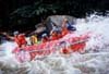Picture of rubber rafting on the Maetang river , Chiang Mai, Thailand